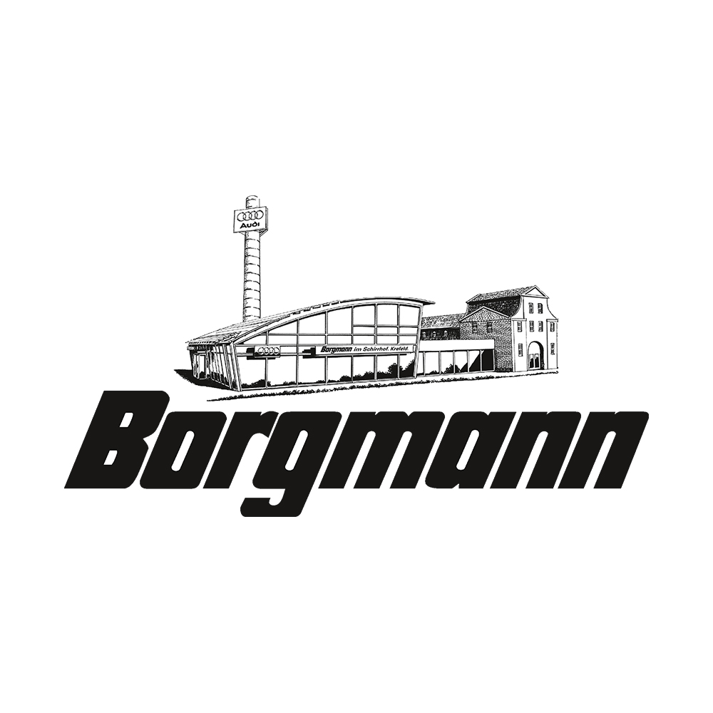 Logo Borgmann