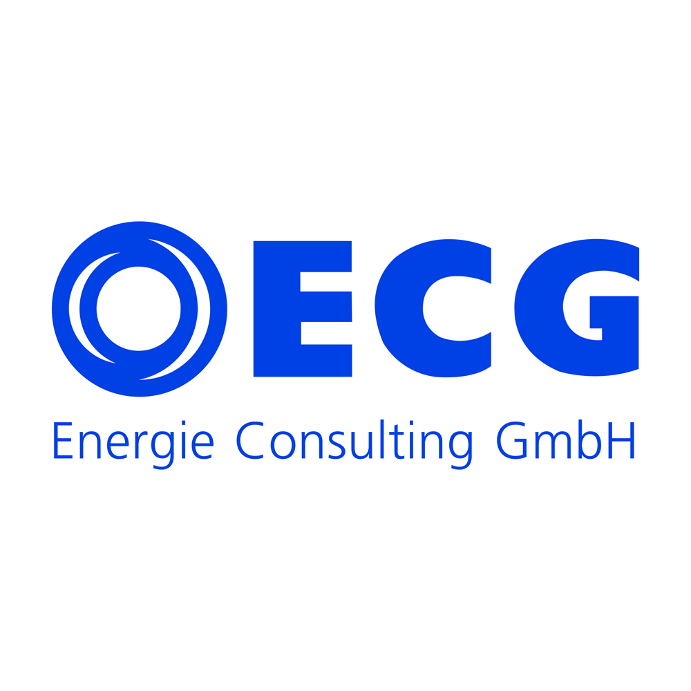 Logo Energie Consulting GmbH - ECG